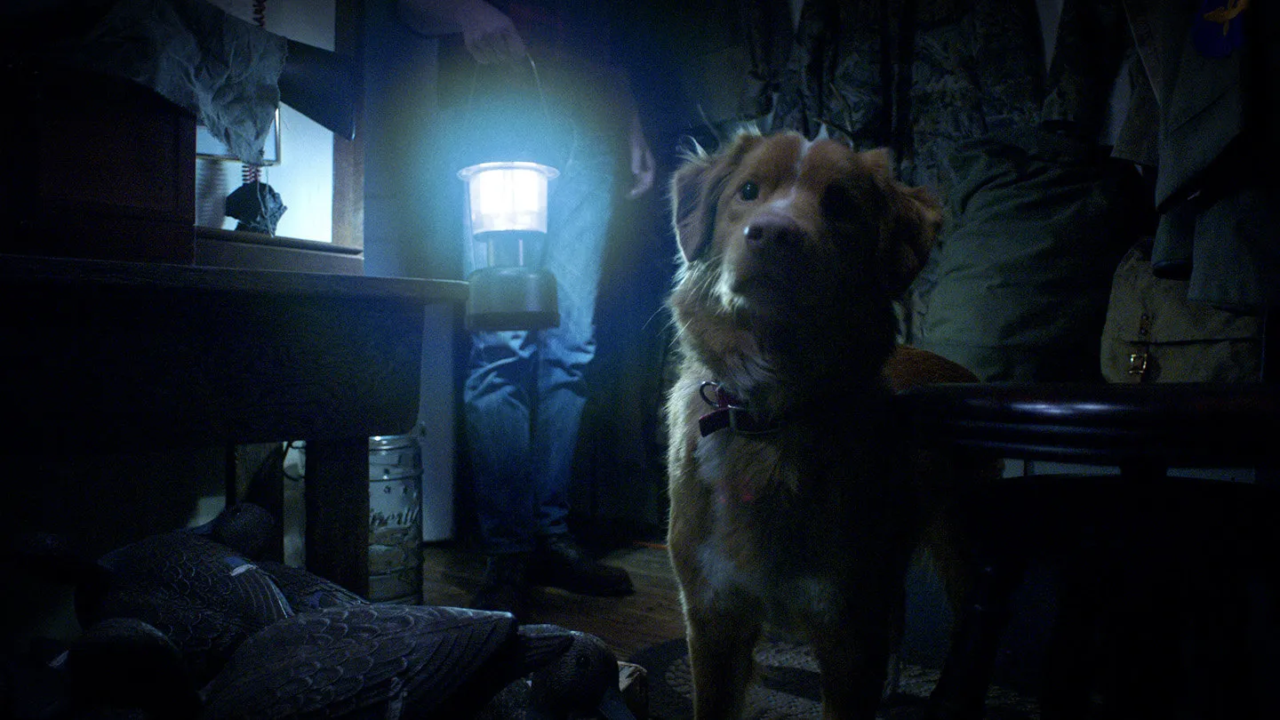 Filme Good Boy Imagem Do Filme Good Boy