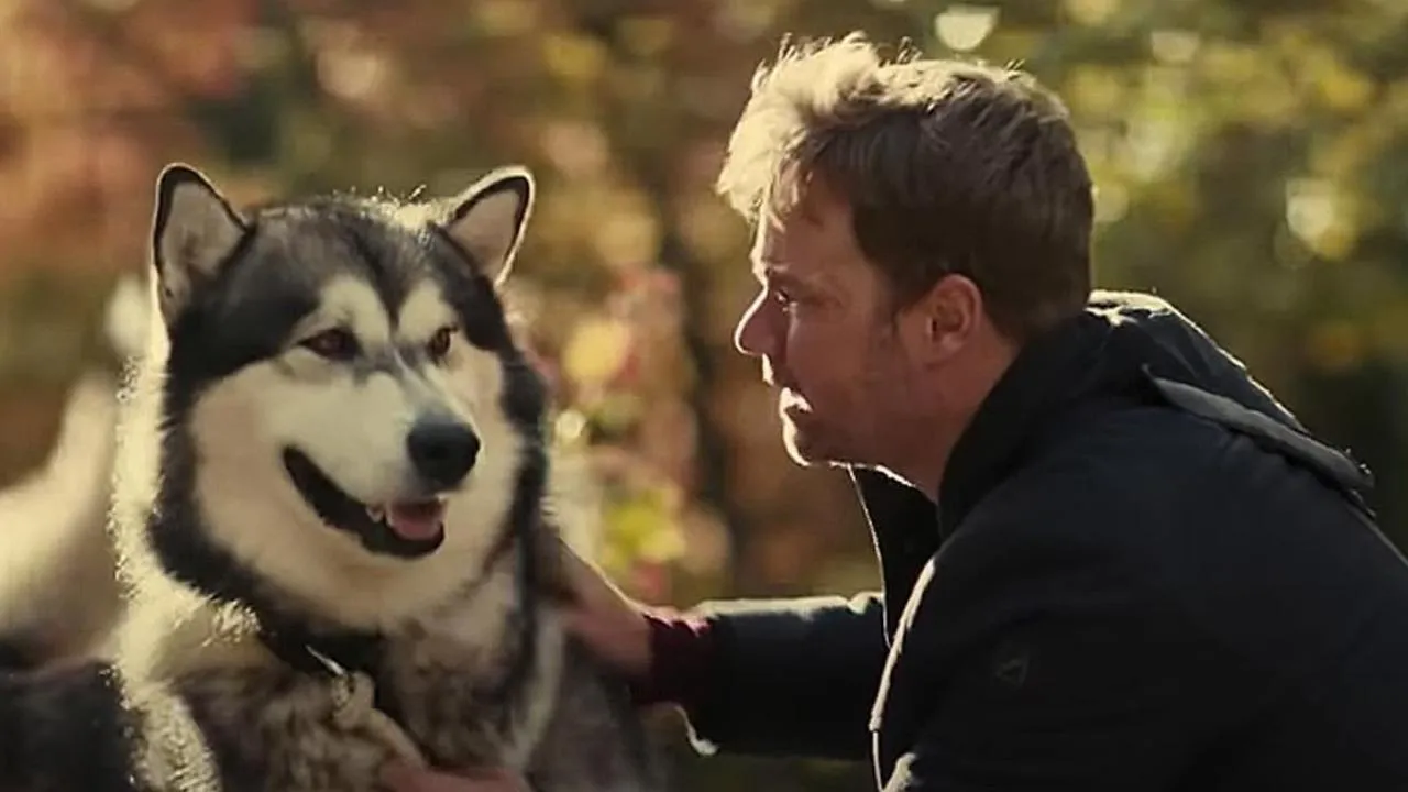 Filme Hero Dog: The Journey Home Imagem Do Filme Hero Dog: The Journey Home
