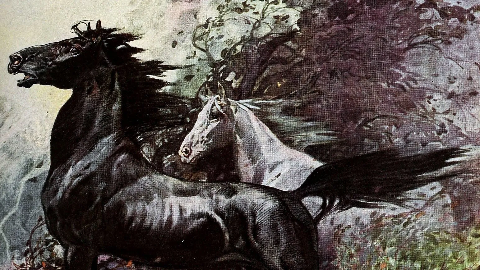 Filme King of the Wild Horses Imagem Do Filme King of the Wild Horses