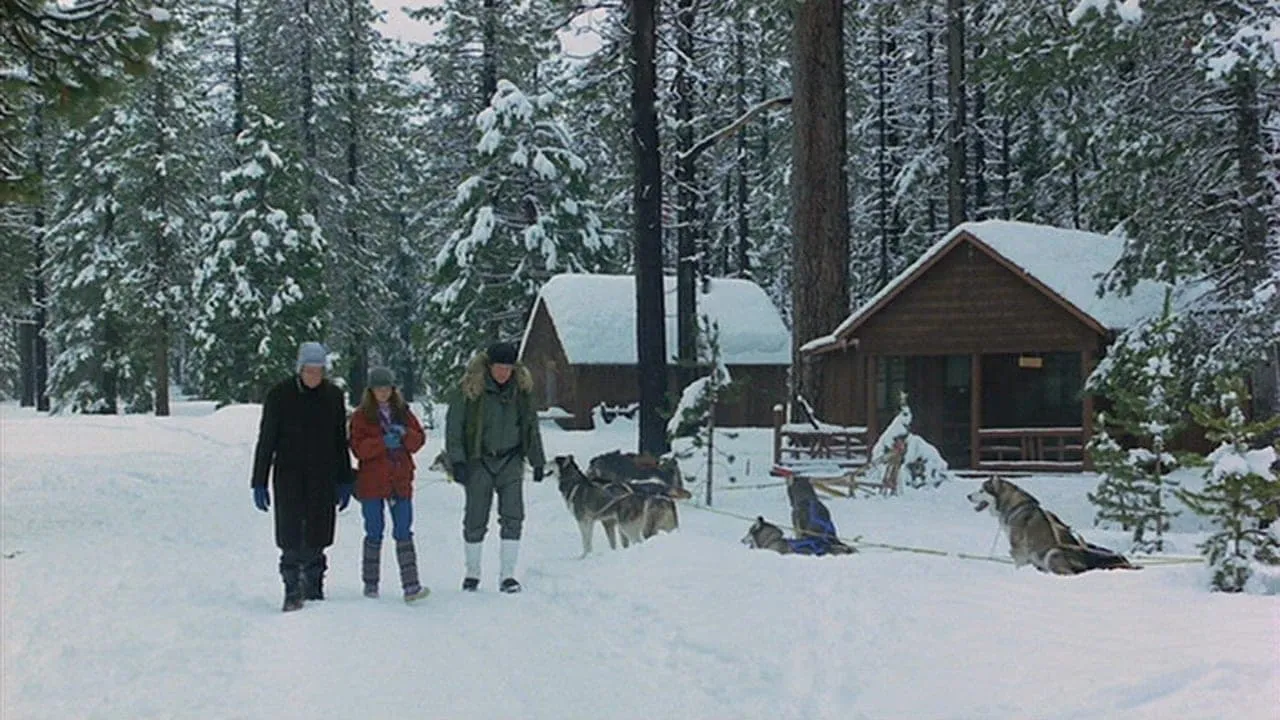 Filme O Negócio é Sobreviver Imagem Do Filme O Negócio é Sobreviver