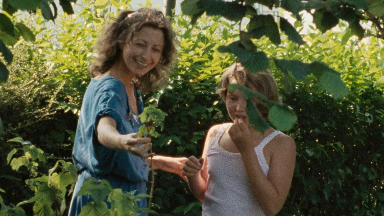 Filme O Raio Verde Imagem Do Filme O Raio Verde