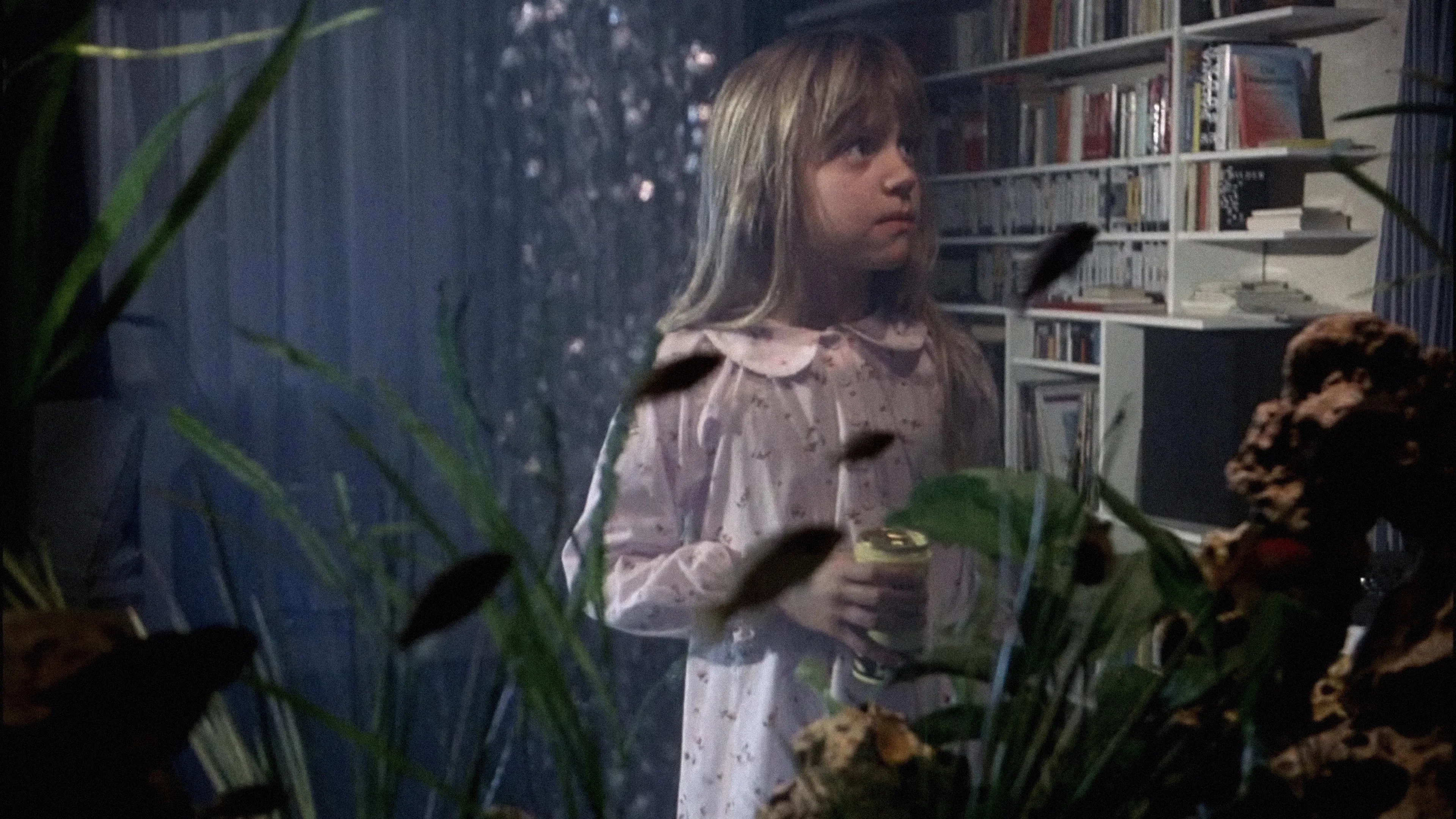 Filme O Sétimo Continente Imagem Do Filme O Sétimo Continente