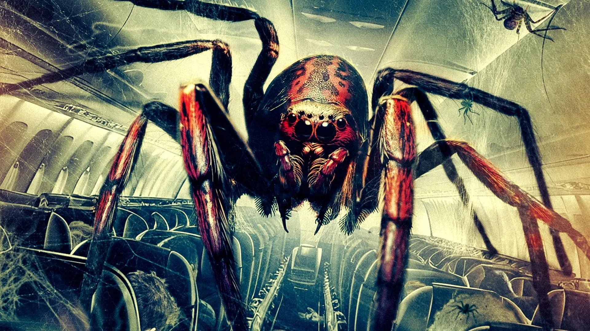 Filme Spiders on a Plane Imagem Do Filme Spiders on a Plane