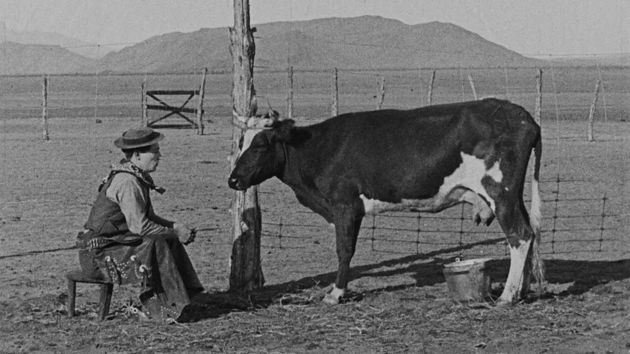Filme Vaqueiro Avacalhado Imagem Do Filme Vaqueiro Avacalhado