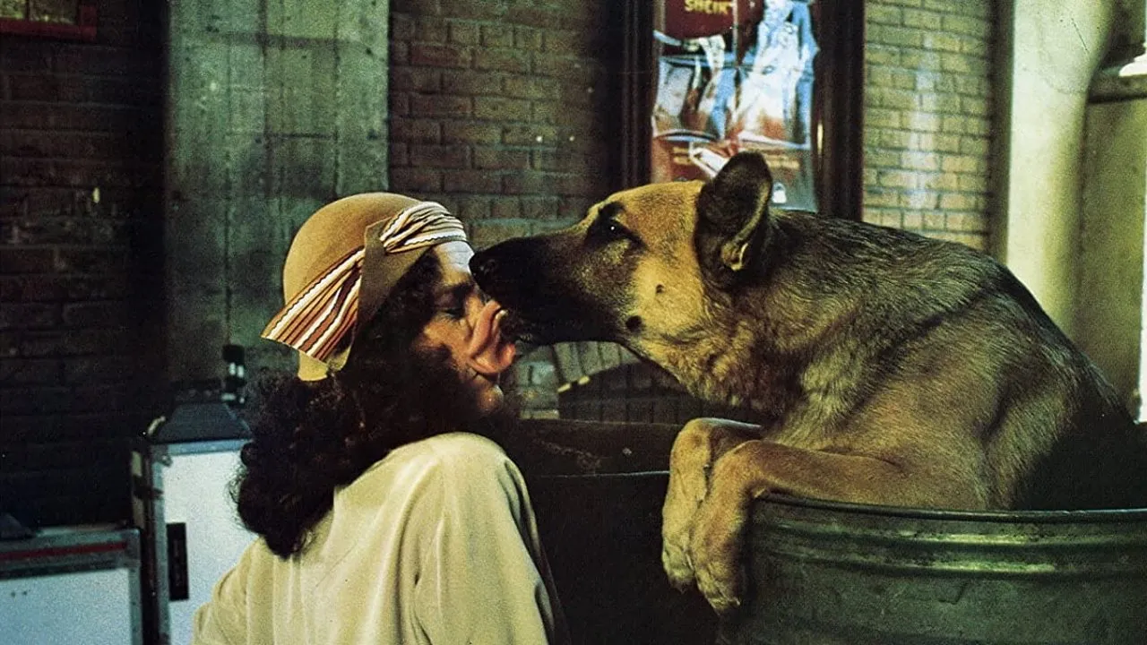 Filme Won Ton Ton, o Cachorro que Salvou Hollywood Imagem Do Filme Won Ton Ton, o Cachorro que Salvou Hollywood