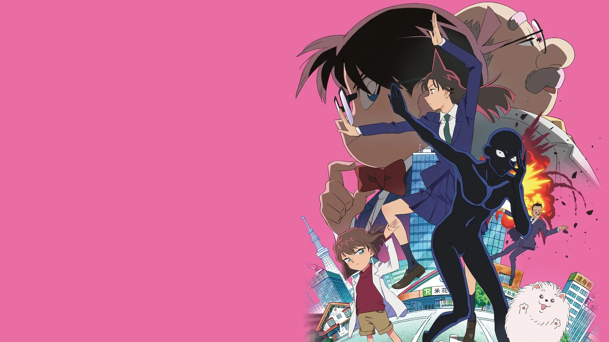 Background DETECTIVE CONAN: HANNIN NO HANZAWA-SAN