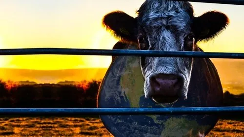 Imagem De Fundo Da Série A Conspiração da Vaca: O Segredo da Sustentabilidade