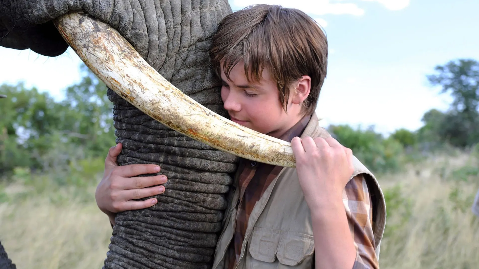 Filme An Elephant''s Journey Imagem Do Filme An Elephant''s Journey