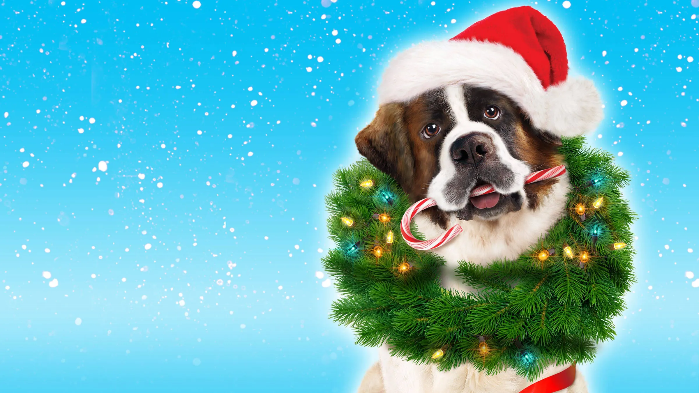 Filme Beethoven: Aventura de Natal Imagem Do Filme Beethoven: Aventura de Natal