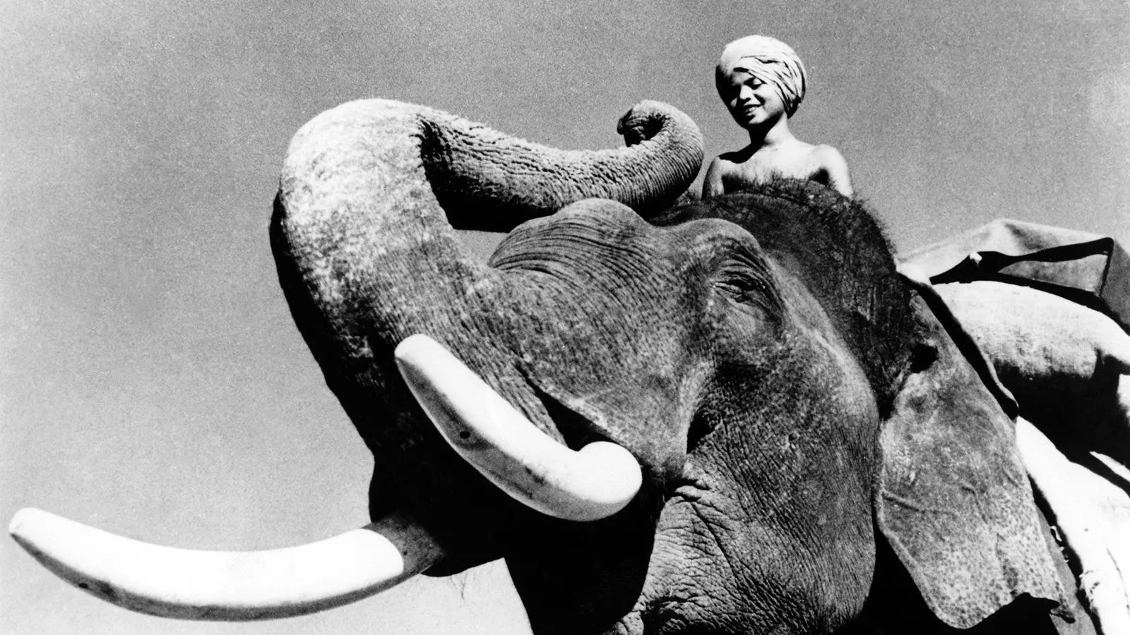 Filme Elephant Boy Imagem Do Filme Elephant Boy