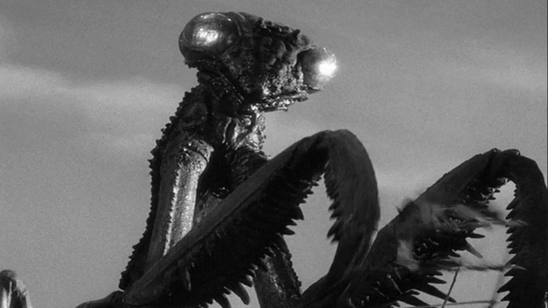 Filme Fúria de uma Região Perdida Imagem Do Filme Fúria de uma Região Perdida