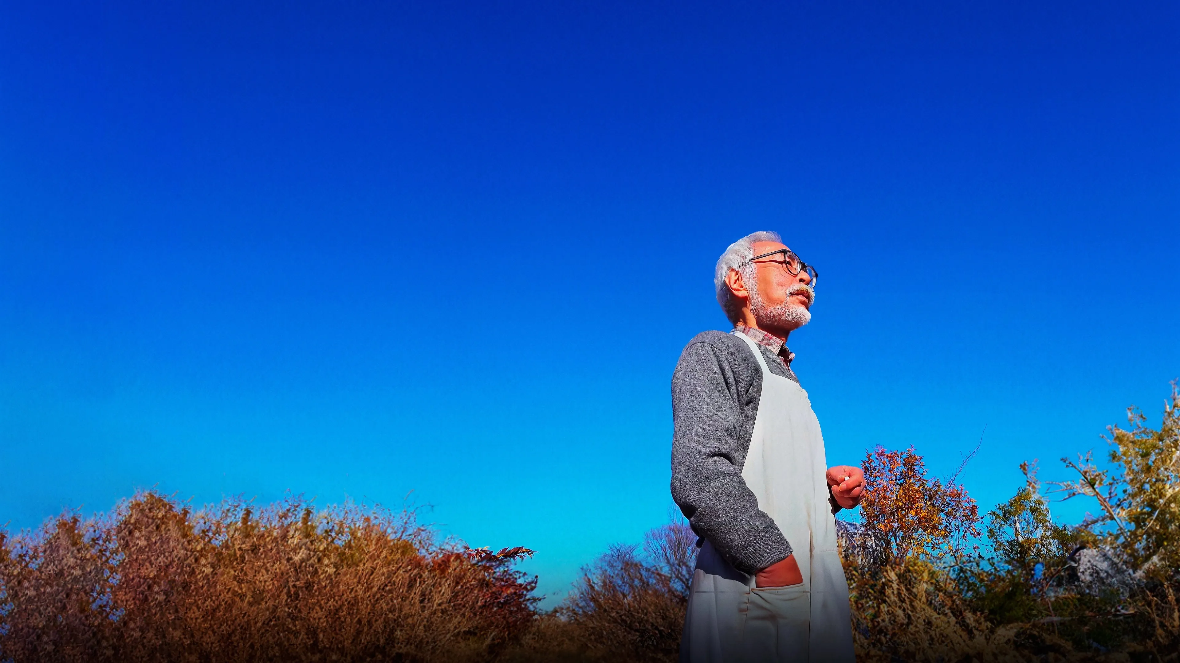 Filme Hayao Miyazaki e a Garça Imagem Do Filme Hayao Miyazaki e a Garça