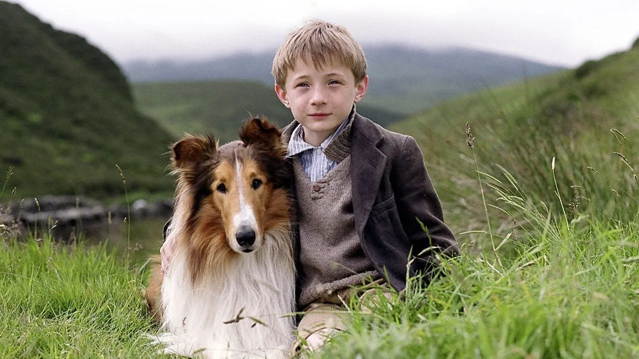 Filme Lassie Imagem Do Filme Lassie