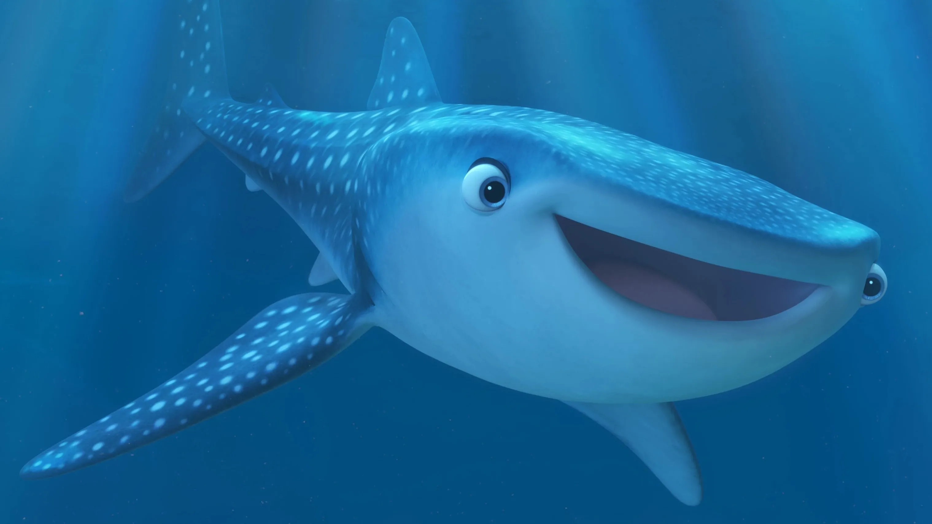 Filme Marine Life Interviews Imagem Do Filme Marine Life Interviews