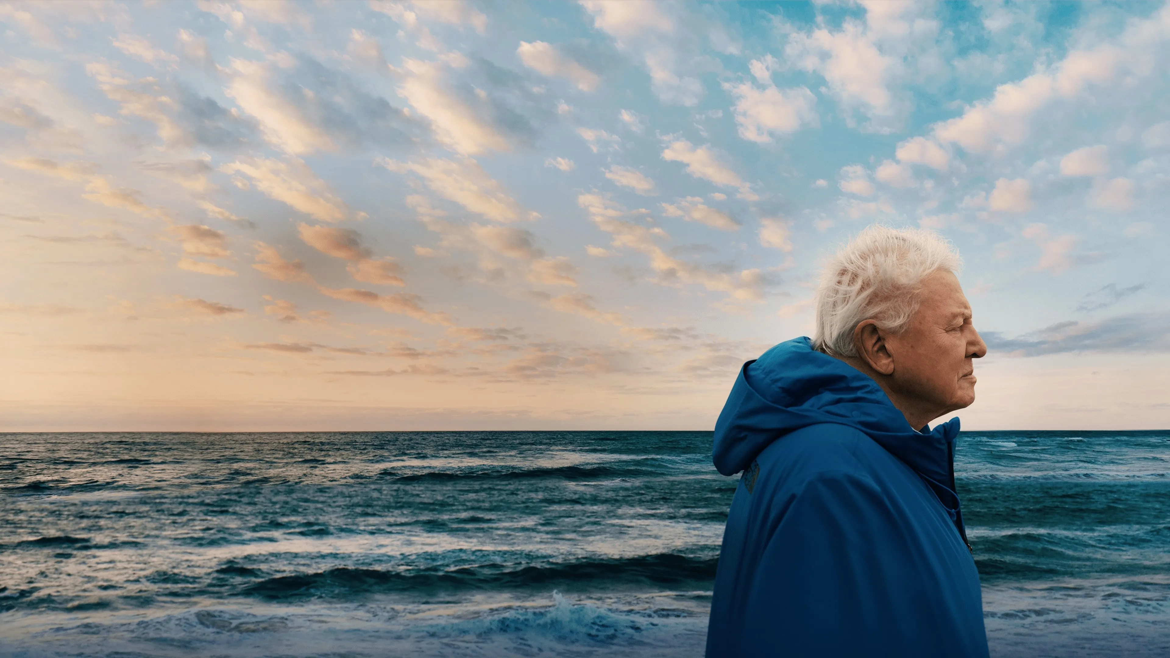 Filme Oceanos com David Attenborough Imagem Do Filme Oceanos com David Attenborough