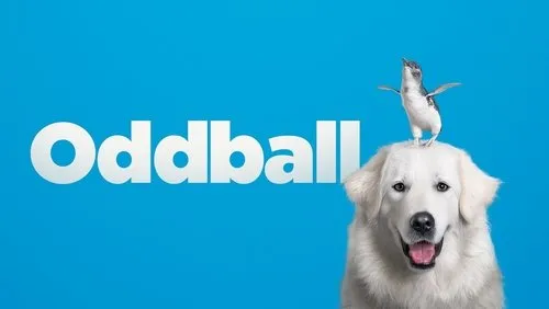 Imagem De Fundo Da Série Oddball e os Pinguins