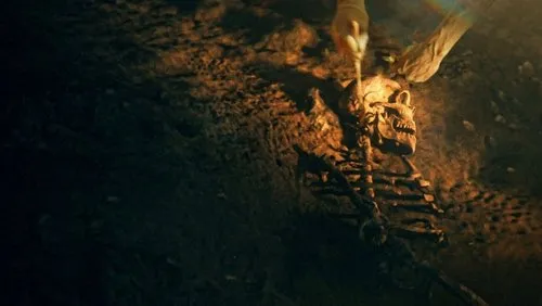 Imagem De Fundo Da Série Os Segredos dos Neandertais