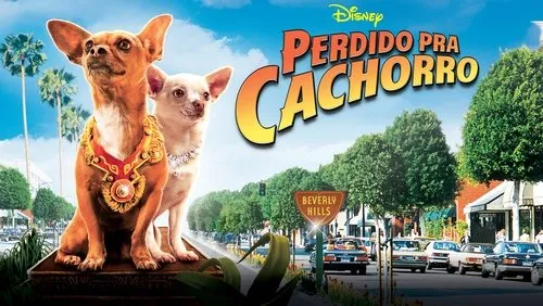 Imagem De Fundo Da Série Perdido pra Cachorro