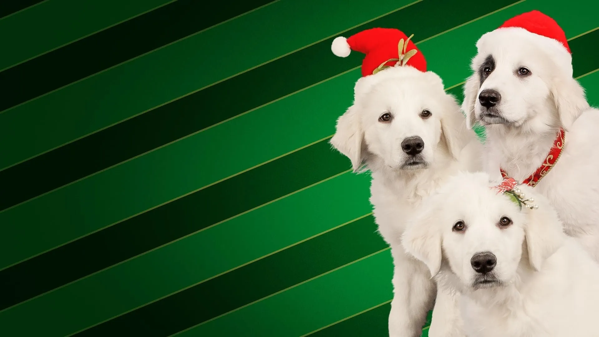 Filme Santa Buddies: Uma Aventura de Natal Imagem Do Filme Santa Buddies: Uma Aventura de Natal