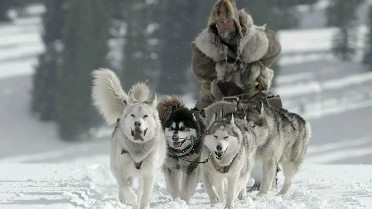Filme The Great Alaskan Race Imagem Do Filme The Great Alaskan Race