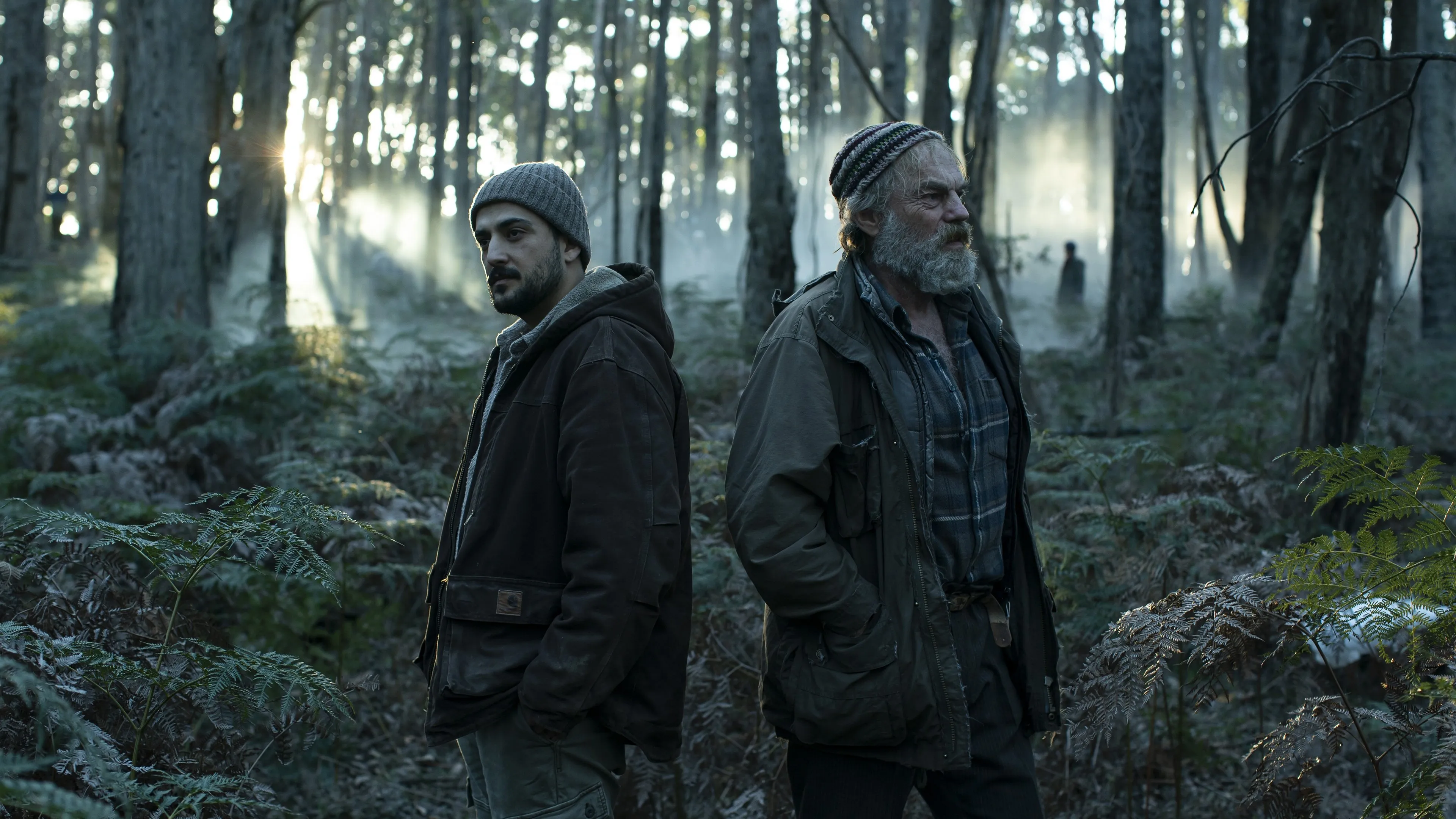Filme The Rooster Imagem Do Filme The Rooster