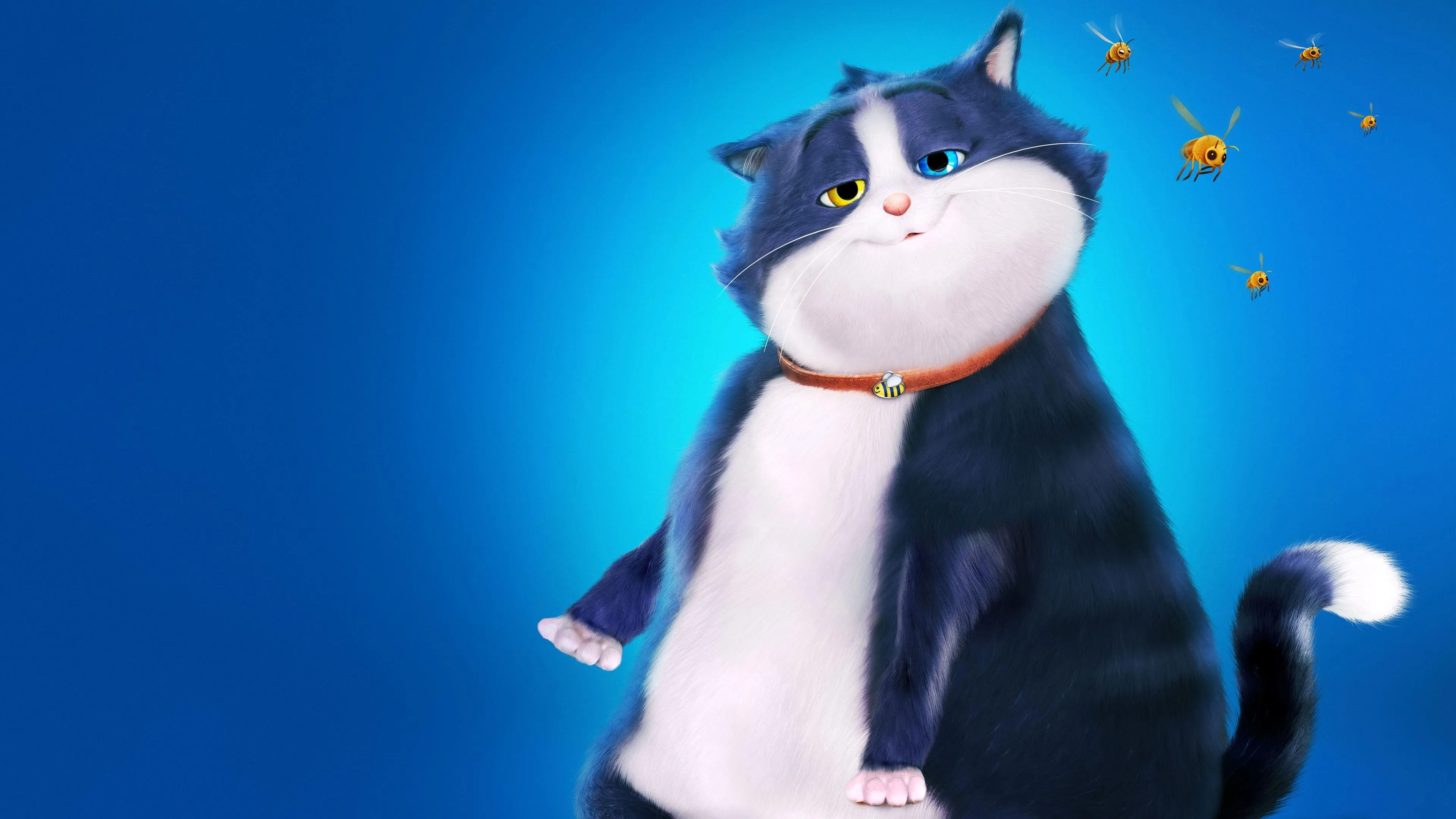 Filme Um Gato de Sorte Imagem Do Filme Um Gato de Sorte
