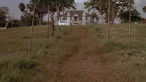 Imagem De Fundo Da Série Vasto Mar de Sargaços