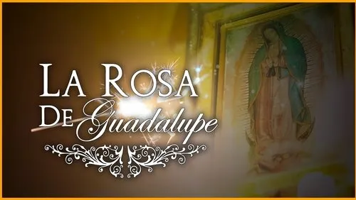 Background A Rosa dos Milagres
