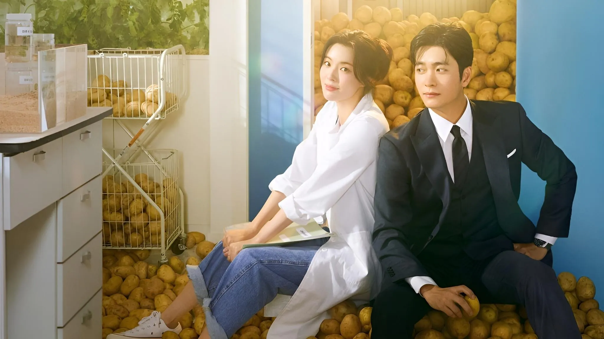 Background Amor e Batatas