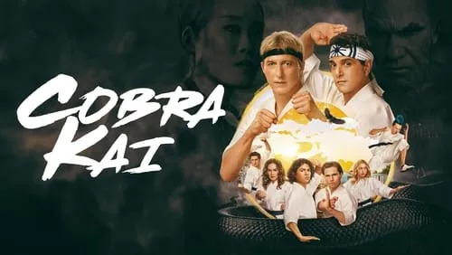 Imagem De Fundo Da Série Cobra Kai