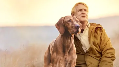 Background É Uma Vida de Cão, com Bill Farmer