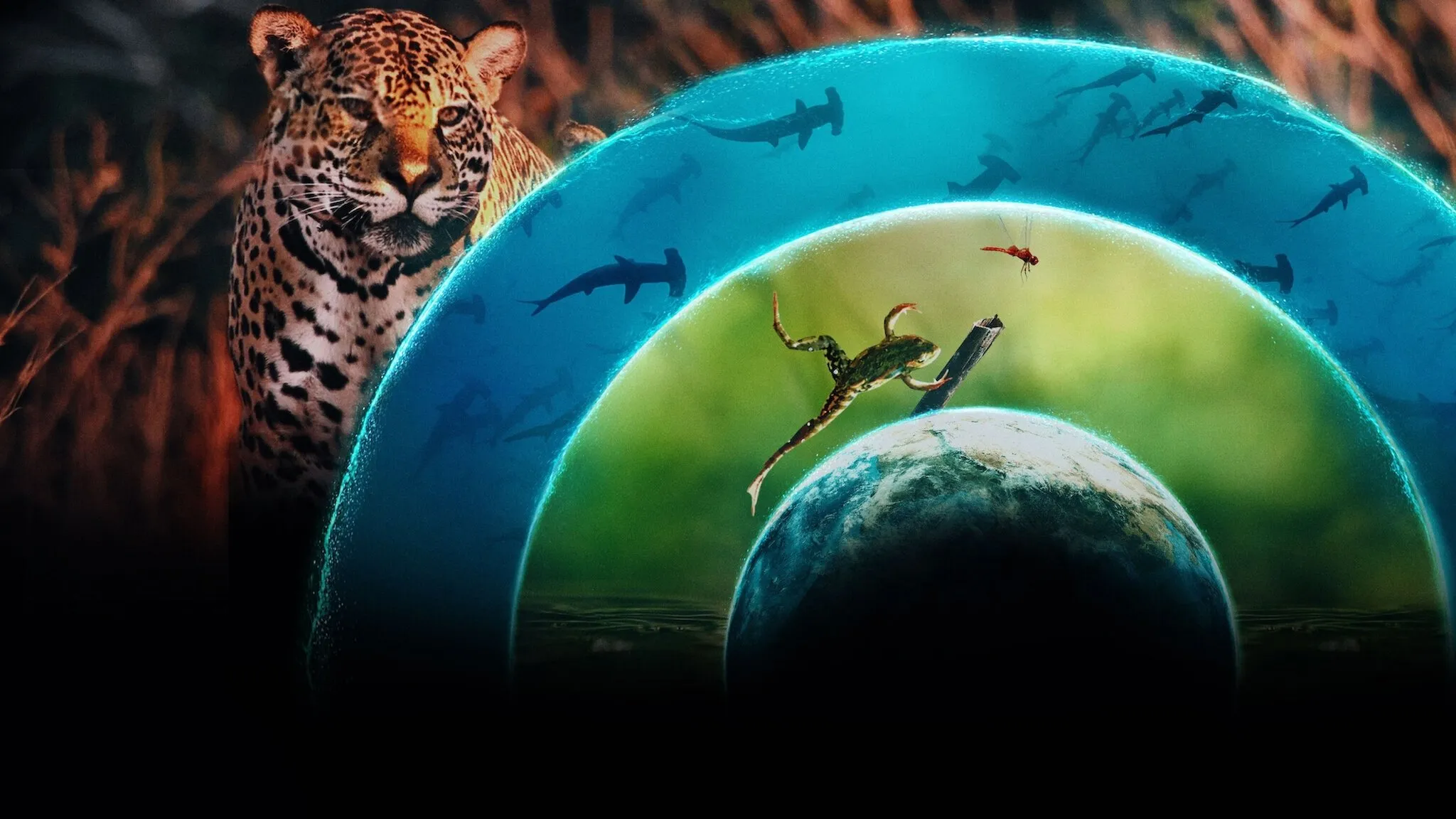 Background Planeta Vivo