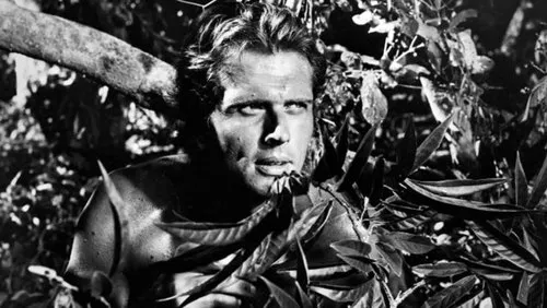 Background Tarzan