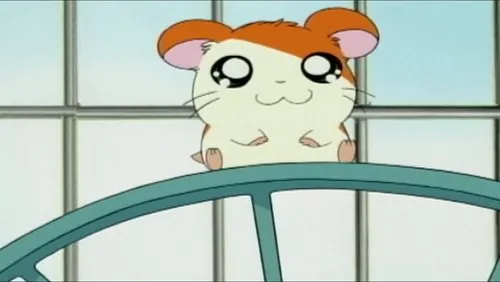 Imagem De Fundo Da Série Hamtaro