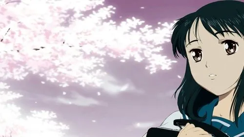 Imagem De Fundo Da Série Koi Kaze