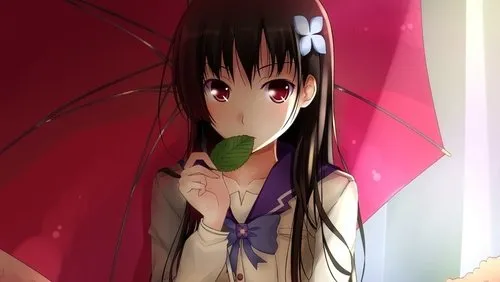 Imagem De Fundo Da Série Sankarea