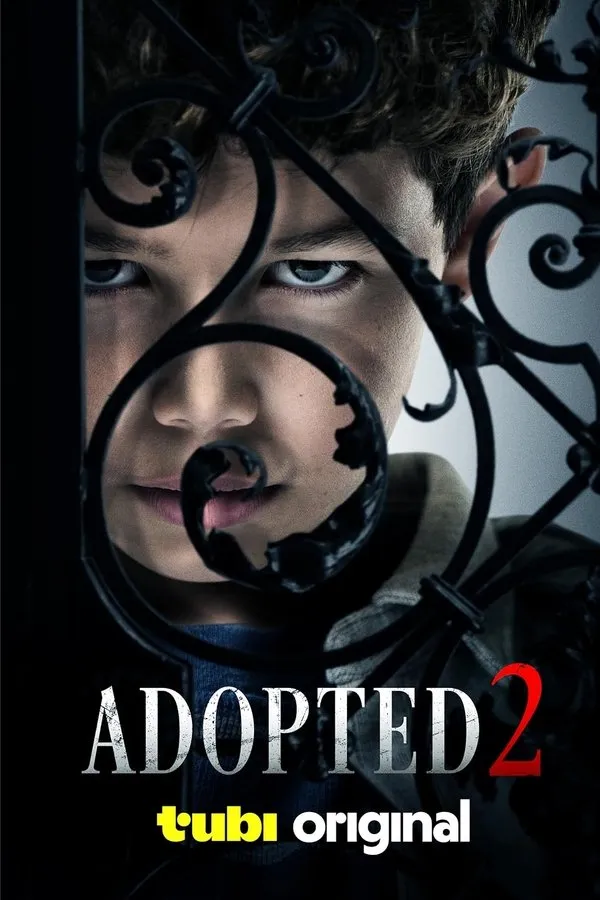 Filme Adopted 2 Poster do filme Adopted 2