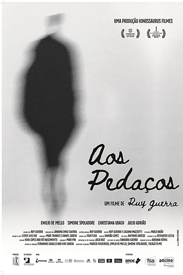 Poster do filme Aos Pedaços