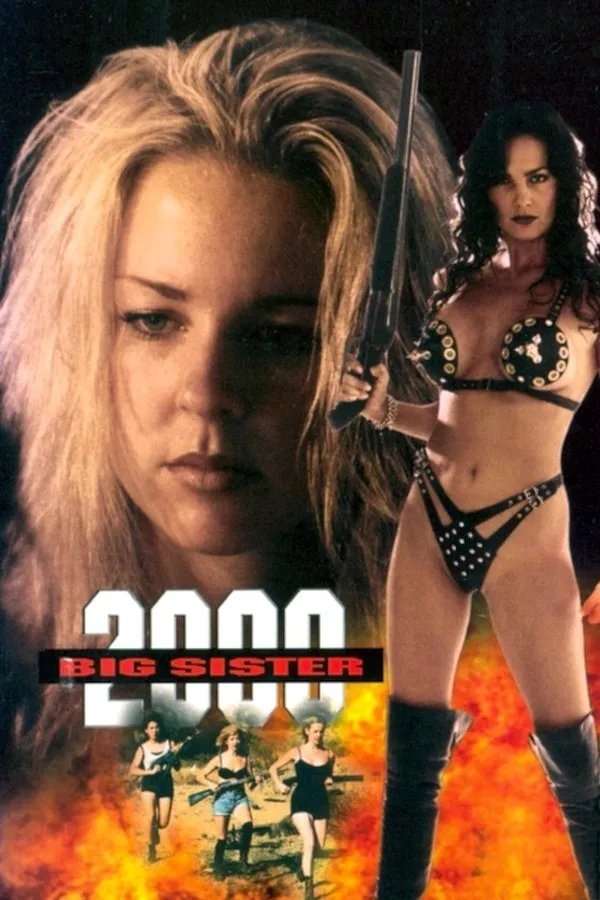 Poster do filme Big Sister 2000