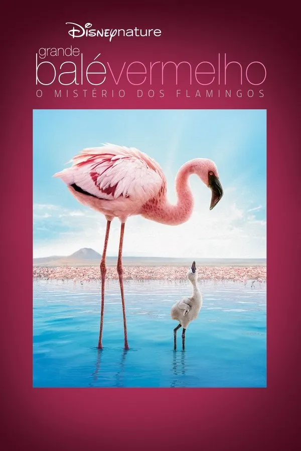 Filme Grande Balé Vermelho: O Mistério dos Flamingos Poster do filme Grande Balé Vermelho: O Mistério dos Flamingos
