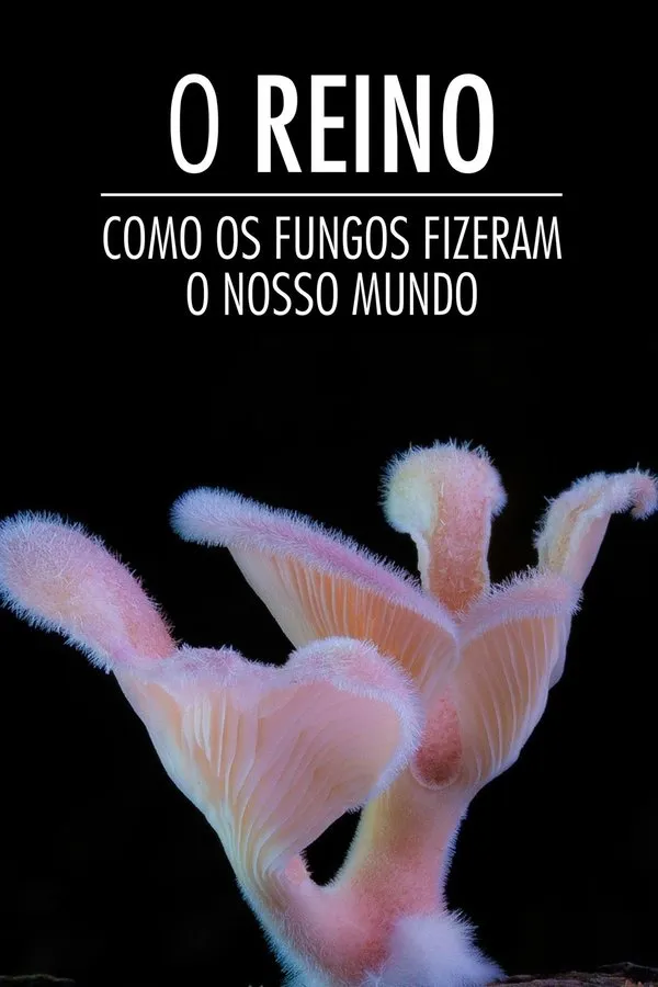 Filme O Reino: Como os Fungos Fizeram o Nosso Mundo Poster do filme O Reino: Como os Fungos Fizeram o Nosso Mundo