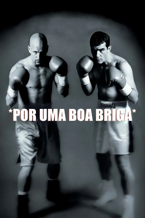 Poster do filme Por uma Boa Briga