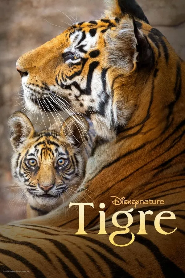 Poster do filme Tigre