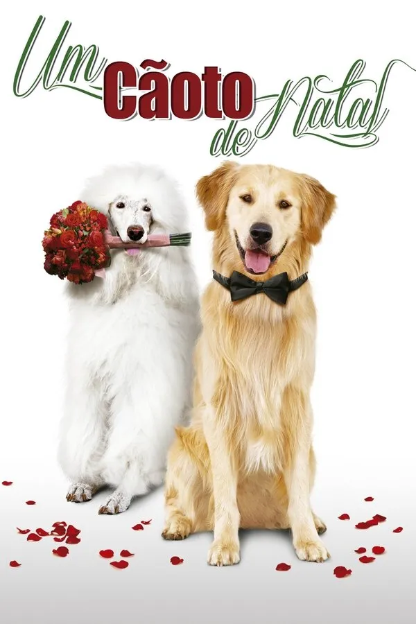 Filme Um Cãoto de Natal Poster do filme Um Cãoto de Natal