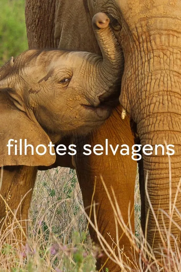 Poster Da Série Filhotes Selvagens