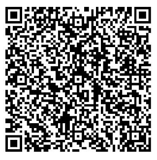 QR Code Pix
